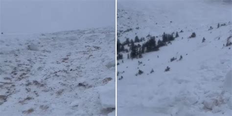 Hiker Triggers Avalanche In Colorado Gets Carried 40 Feet Rescuers