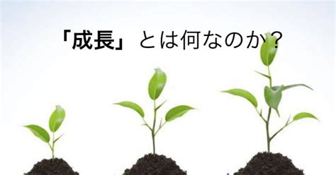 「成長」とは何なのか？2種類の成長のタイプ【成人発達理論】｜木戸伸幸｜きどっち