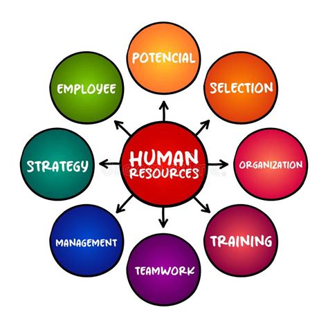 human resources people     workforce   organization
