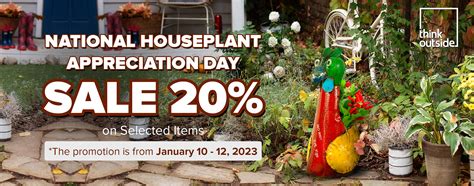 National Houseplant Appreciation Day Think Outside