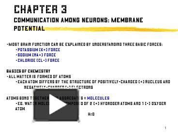 Ppt Communication Among Neurons Membrane Potential Powerpoint