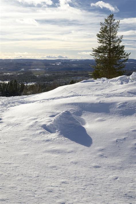 Winter Landscape, Idre in Sweden. Stock Photo - Image of horizon, area ...