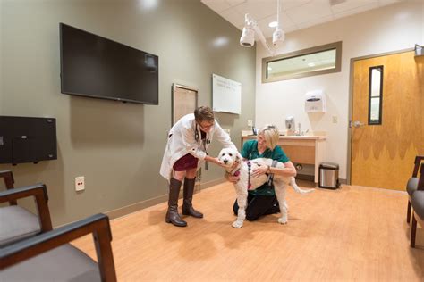 CSU opens spacious, state-of-the-art veterinary cancer center | SOURCE ...