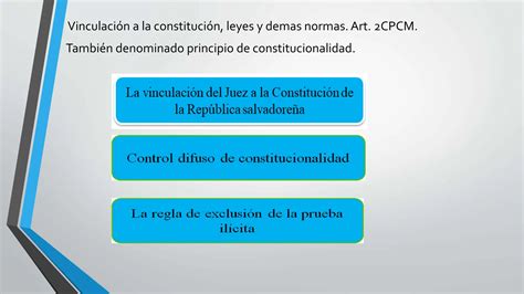 Los Principios Procesales Constitucionales En El Cpcm Ppt