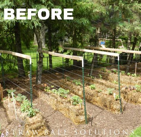 How to Get Started with Straw Bale Gardening — Empress of Dirt