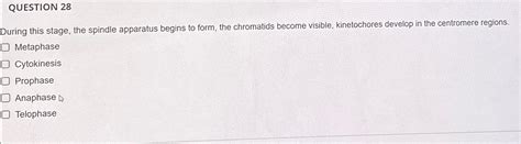 Solved QUESTION 28During this stage, the spindle apparatus | Chegg.com