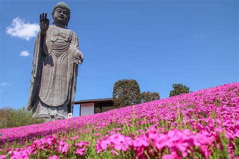 Worlds Tallest Standing Bronze Statue Ushiku Daibutsu Buddha