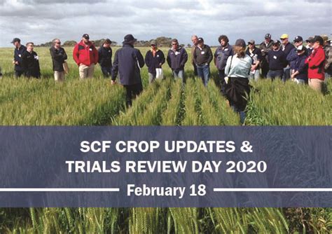 2020 Scf Crop Updates And Trials Review — Stirlings To Coast Farmers