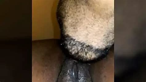 Free BBW Pussy Eating Porn Videos XHamster