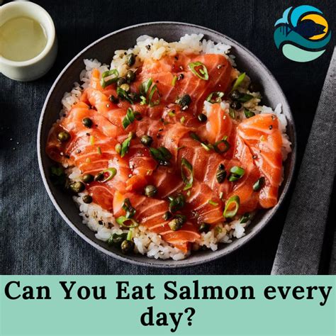 How Many Times A Week Can You Eat Salmon Is It Safe To Eat Salmon