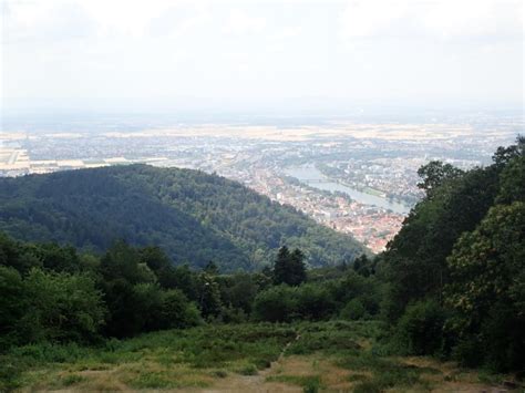 Wandern Heidelberg Königstuhl Heidelberger Schloss Tour 181277