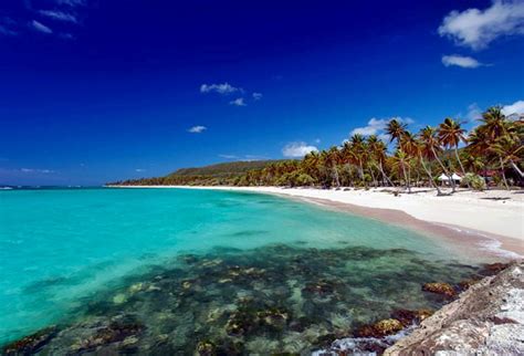 Фотографии Мари-Галанте | Фотогалерея достопримечательностей на ...