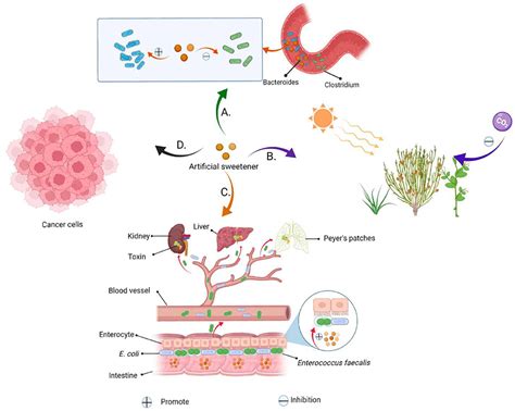 Frontiers Research Progress On Extraction Technology And Biomedical