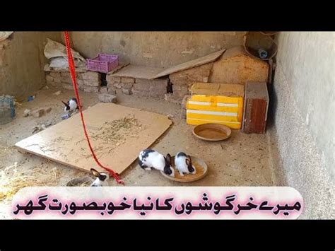 Wow New House Of My Cute Rabbits How To Make Rabbits Home Ek Dafa