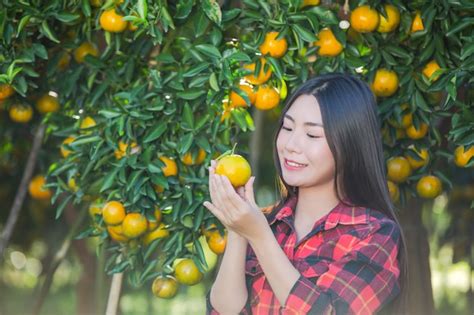 La mujer joven en el jardín cosecha la naranja en el jardín Foto Gratis