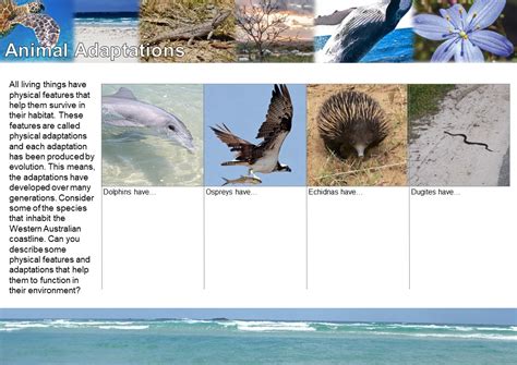 Coastal Biodiversity Nacc Coastal Curriculum Packages