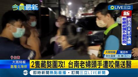 管好你家的狗啊 台南婦被兩隻兇猛藏獒攻擊 頭手遭咬傷送醫 鄰居怒控 飼主不綁狗鍊 │記者 蔡咏恩│【live大現場】20221029│三立新聞台 Youtube