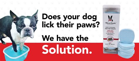 Warren London - Premium Dog Spa and Grooming Products