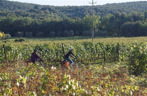 Orvieto Y Civita Di Bagnoregio Tour Privado En E Bike GetYourGuide