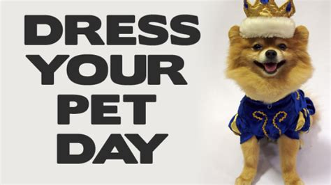 National Dress Up Your Pet Day