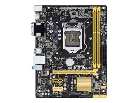 90MB0L70-M0UBY0 - ASUS H81M-P PLUS/C/SI - motherboard - micro ATX ...