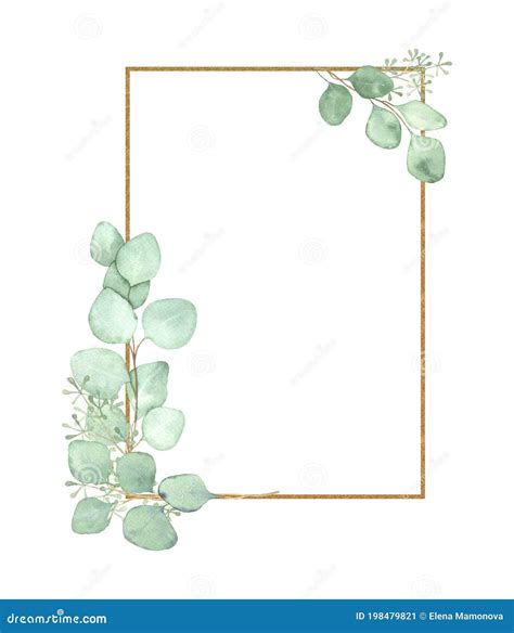 Eucalyptus Frame Watercolor Background