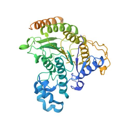 Rcsb Pdb 8bpc Cryo Em Structure Of The Human Sin3b Histone