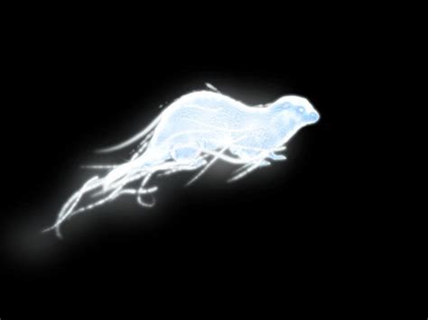 Hermione's Patronus: Otter. | Patronus art, Patronus tattoo, Otter tattoo