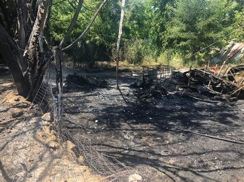 Teverola Incendio Di Sterpaglie Nell Area Industriale E A Carditello