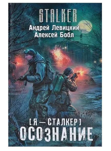 Я - сталкер. Осознание. STALKER | Левицкий А., Бобл Алексей - купить с ...