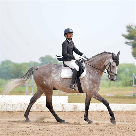 Download Gentleman Equestrian Horseback Riding Portrait Wallpaper ...