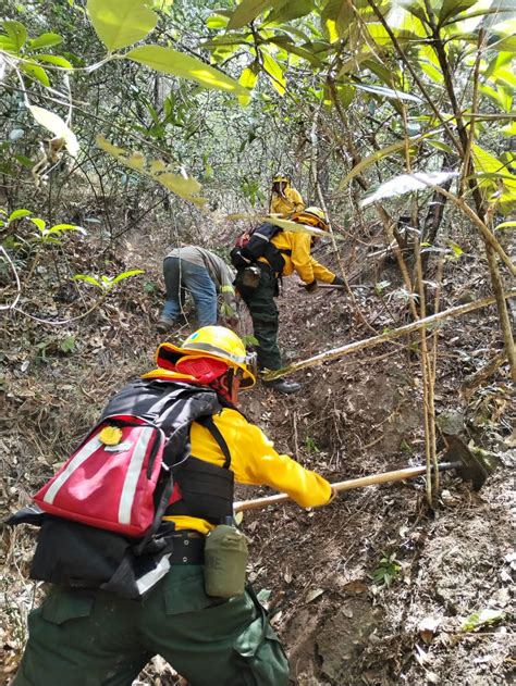 Conred On Twitter Quich Se Registra Incendio Forestal En Pachilip