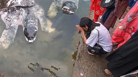 Walk In Bayazid Bostami Mazar Chattogram Bangladesh Walking Tour