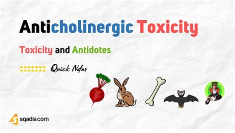 Toxicity And Antidotes Anticholinergic Toxicity