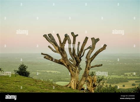 Sunset at Leith Hill Stock Photo - Alamy