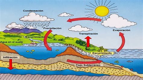 El Ciclo Del Agua Describe La Presencia Y El Movimiento Del Agua En Tierra