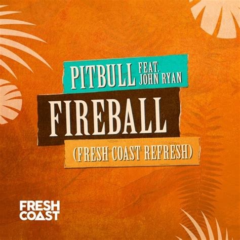 Pitbull Album Cover Fireball