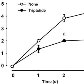 The Longitudinal Effect Of Triptolide On Tgf Induced Collagen Gel