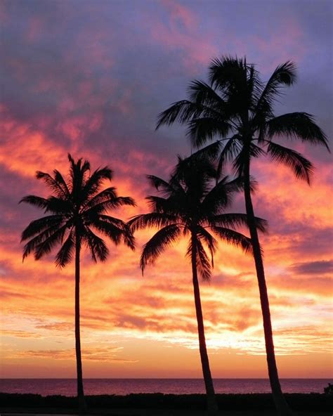 Hawaii sunset photos from Hawaii writer Laurie Hanan