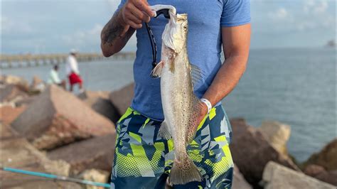 Speckled Trout Fishing At Seawolf Park Galveston Texas Youtube