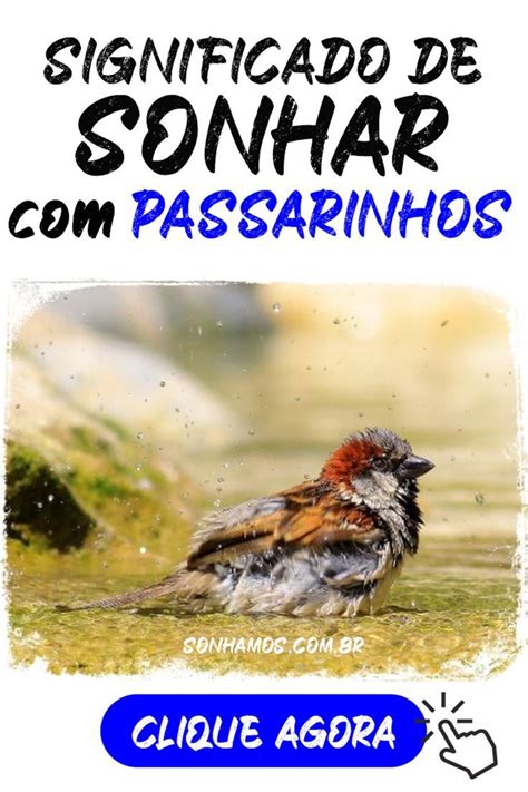 Sonhar Com Passarinho O Que Significa