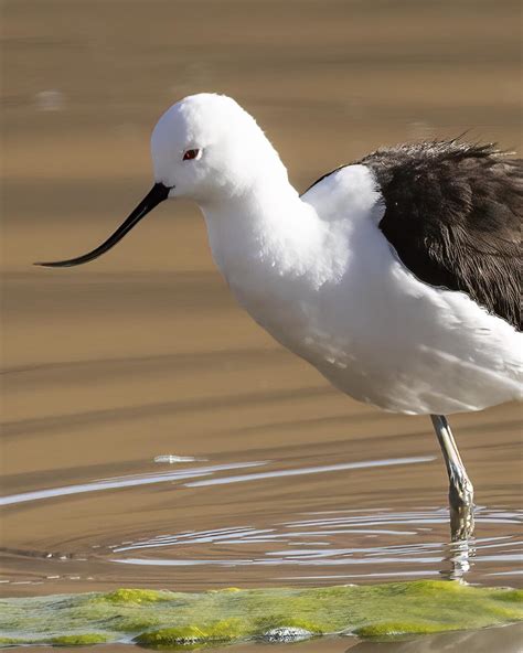 Chile Custom Trips - Far South Expeditions