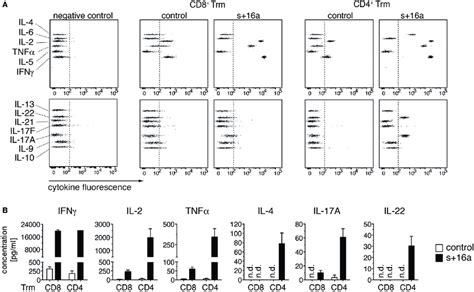 In Vitro Cytokine Expression Profile Of Pma Ionomycin Stimulated