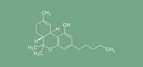 Tetrahydrocannabinol - Alchetron, The Free Social Encyclopedia