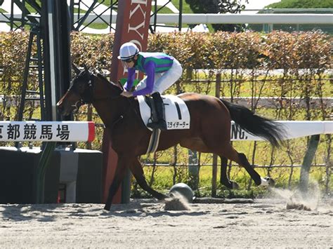 【京都4r新馬戦結果】オルフェーヴル産駒ミライテーラーが3馬身差快勝！ ライブドアニュース