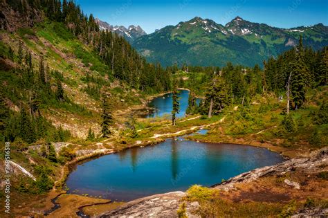 Heather Meadows Mt Baker Washington Heather And Huckleberry Meadows