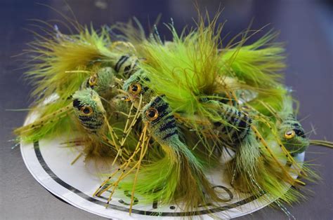 Deer Hair Popper Frog Yellow Belly