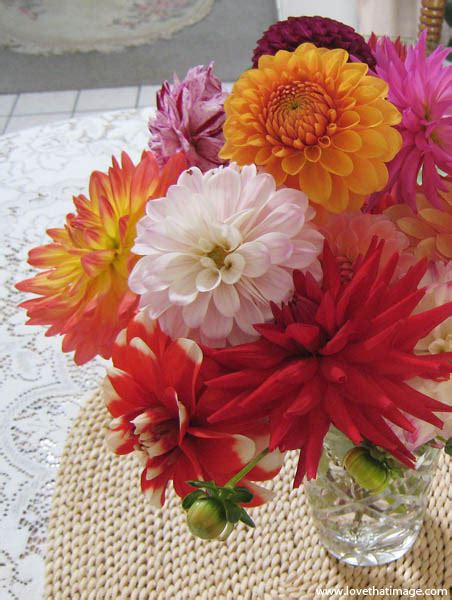 Dahlia bouquet | Sara's Fave Photo Blog