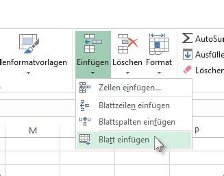 Einf Gen Oder L Schen Eines Arbeitsblatts Excel