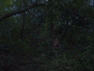 Arroz Con Leche Nude Pics Page